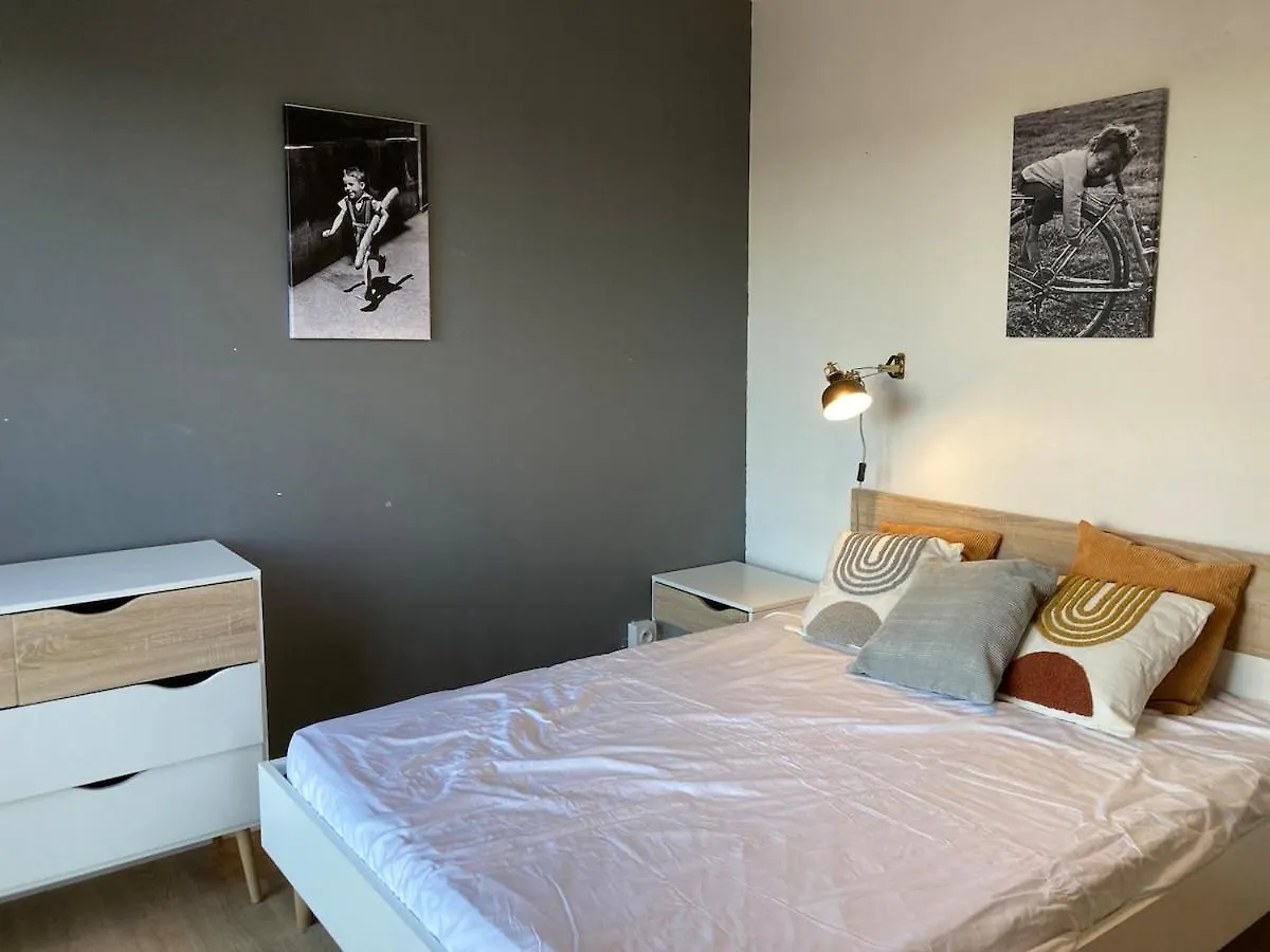 Appartement 3 Chambres Pres Du Chr Loos 0*,